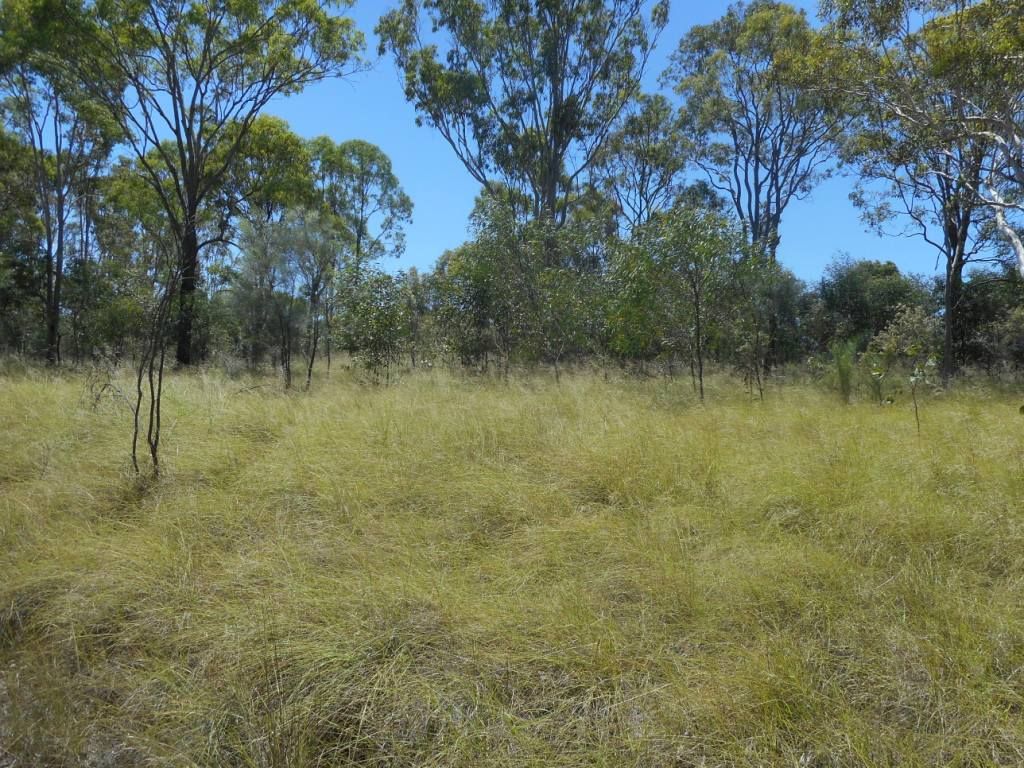 Lot 6 Kingaroy Cooyar Road, Tarong QLD 4615, Image 1