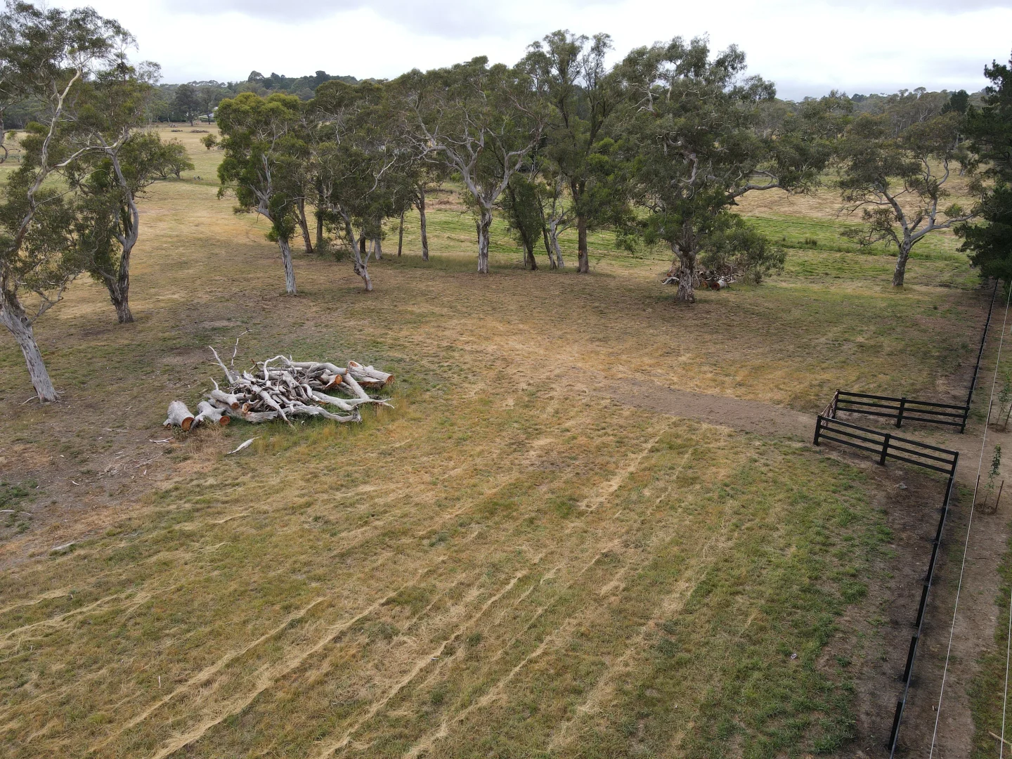 Image 22