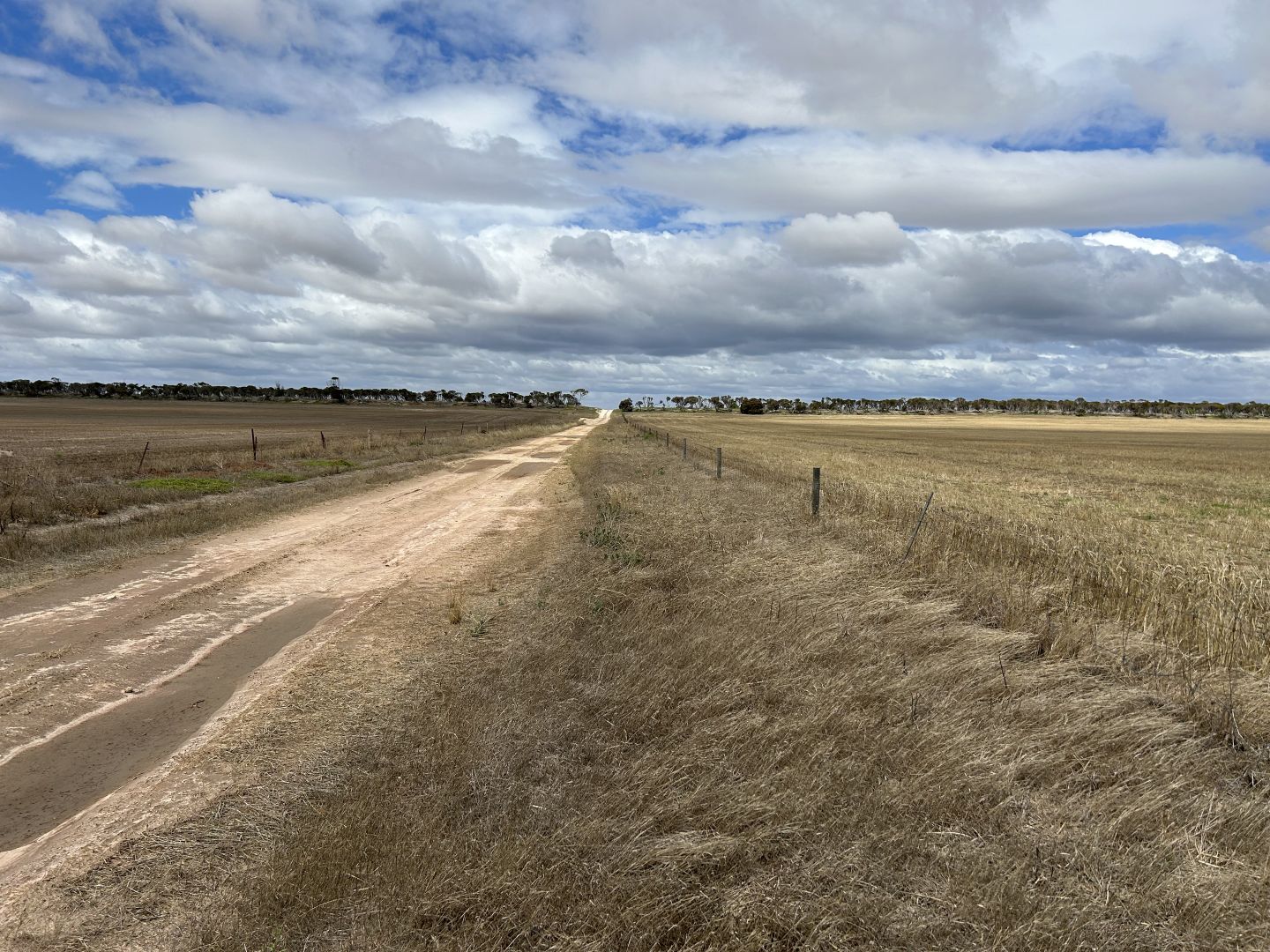 572 Hampel Road, Rudall SA 5642 - House for Sale | Domain