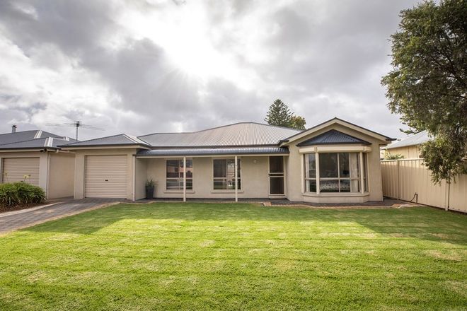 Picture of 3 McCoy Street, NARACOORTE SA 5271