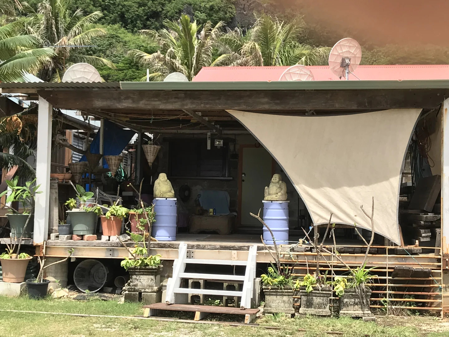Image 12