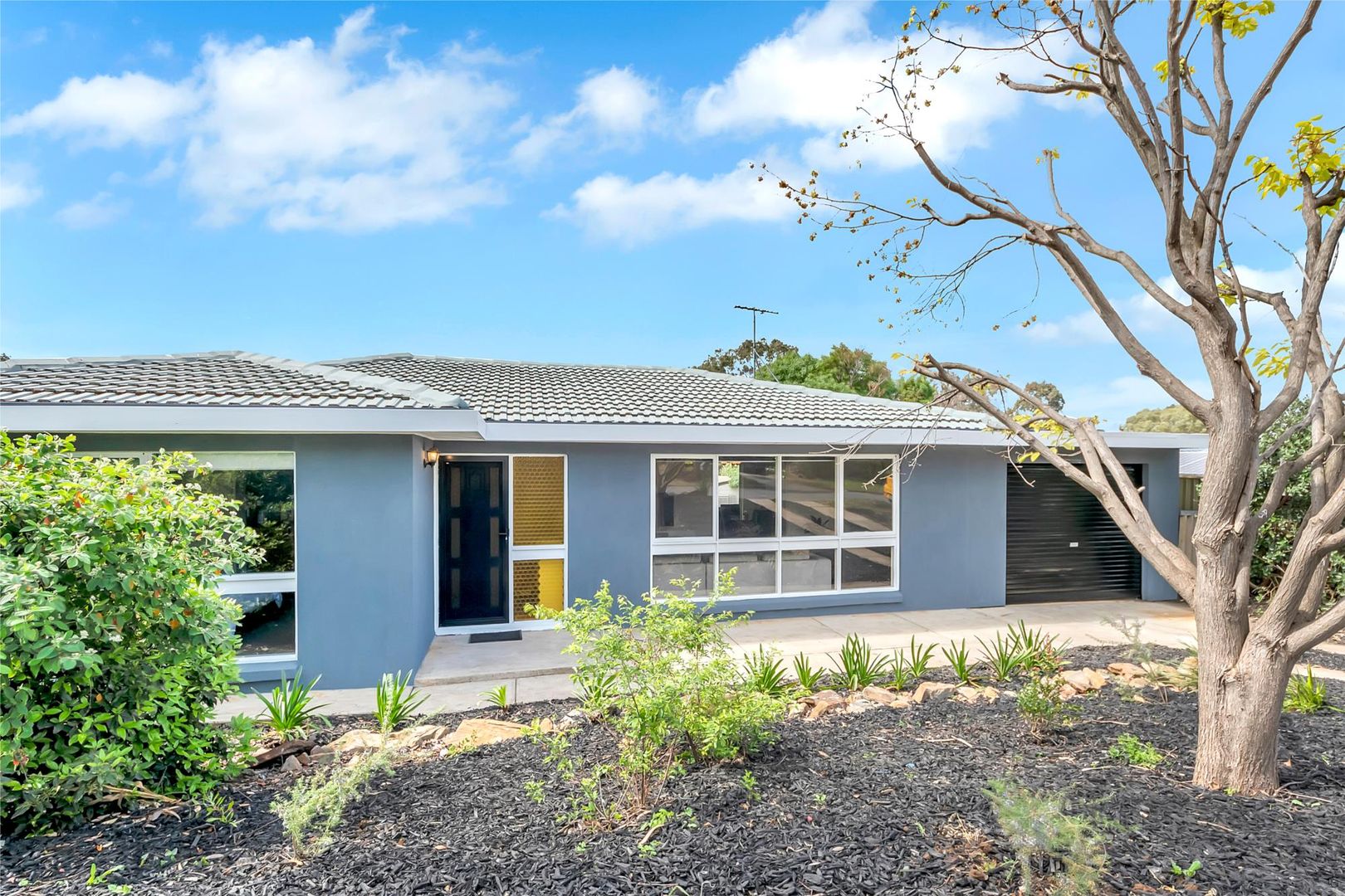 19 Wirilda Avenue, Surrey Down Property History & Address Research