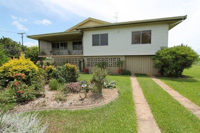 Picture of 204 Old Home Hill Road, AYR QLD 4807