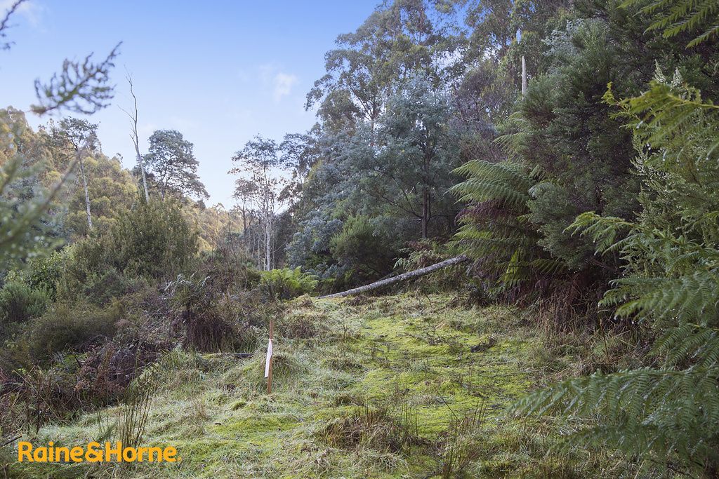 95 Palmers Road, Oyster Cove TAS 7150, Image 0