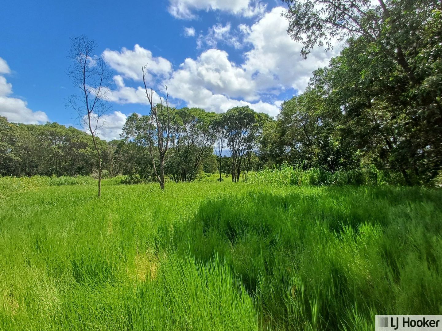 L10 Davidson Road, Munro Plains QLD 4854, Image 1