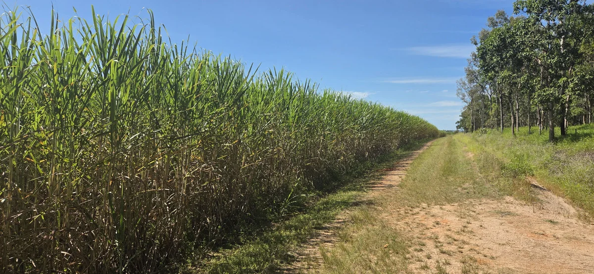 Additional image 7 of Lot 101 & 3 Lannercost Extension Road, Lannercost QLD 4850