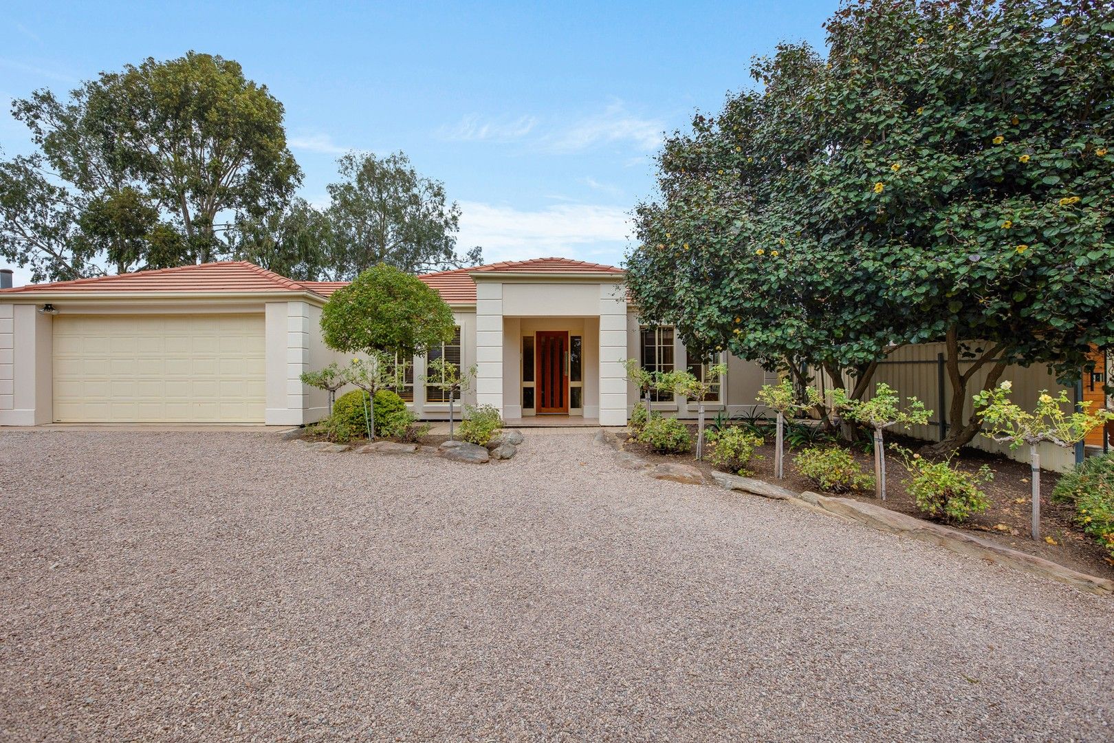 31 Honeysuckle Drive, Hope Valley SA 5090, Image 1