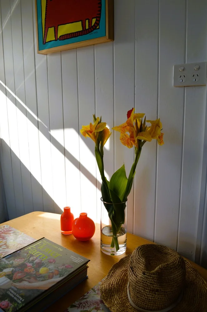 Additional image 8 of 17 Herbert Street, Allora QLD 4362