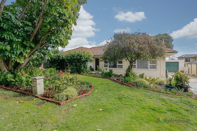 Picture of 149 Tyler Street, TUART HILL WA 6060