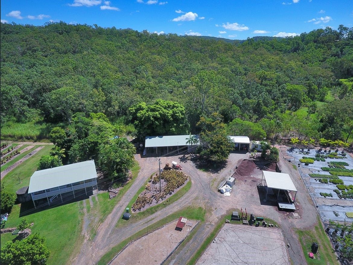 1603 Geeberga Buthurra Road, Mount Ossa QLD 4741, Image 2