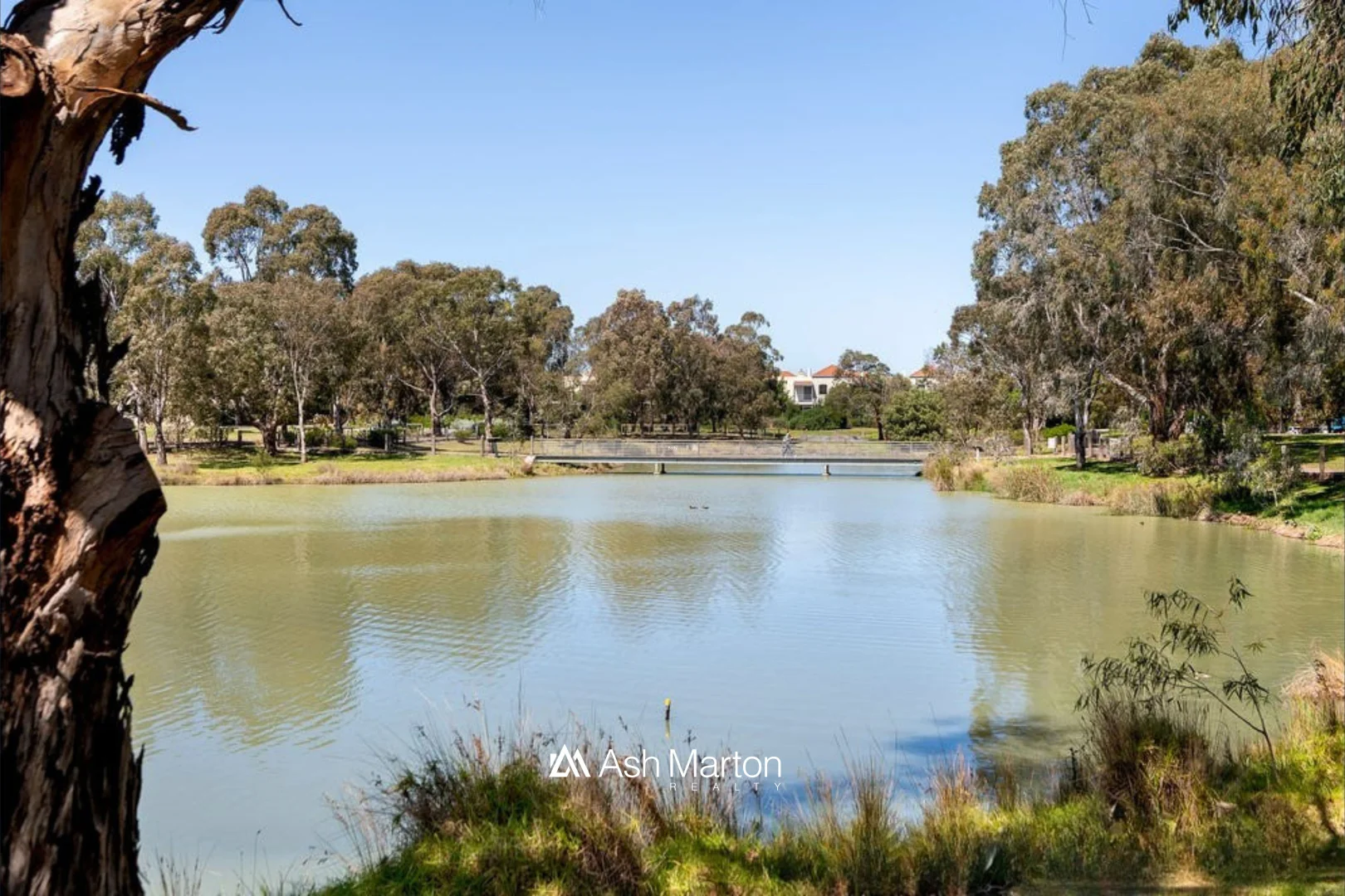 Additional image 9 of 449 St Kilda Street, Elwood VIC 3184