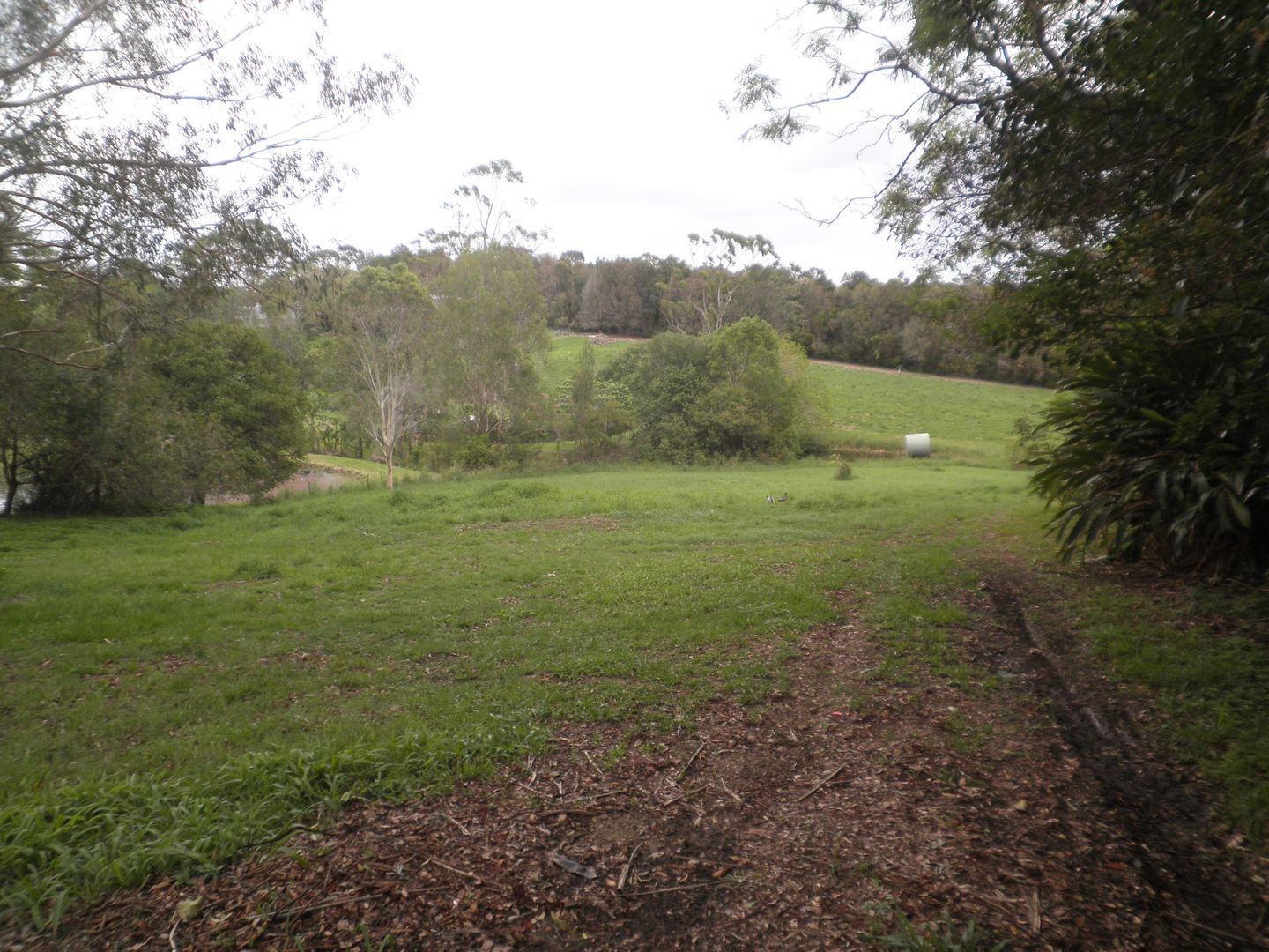 Kureelpa QLD 4560 3 beds house for Rent, 750 16141724 Domain