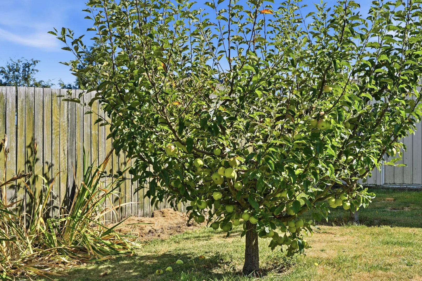 Additional image 21 of 37 Thorp Street, Cygnet TAS 7112