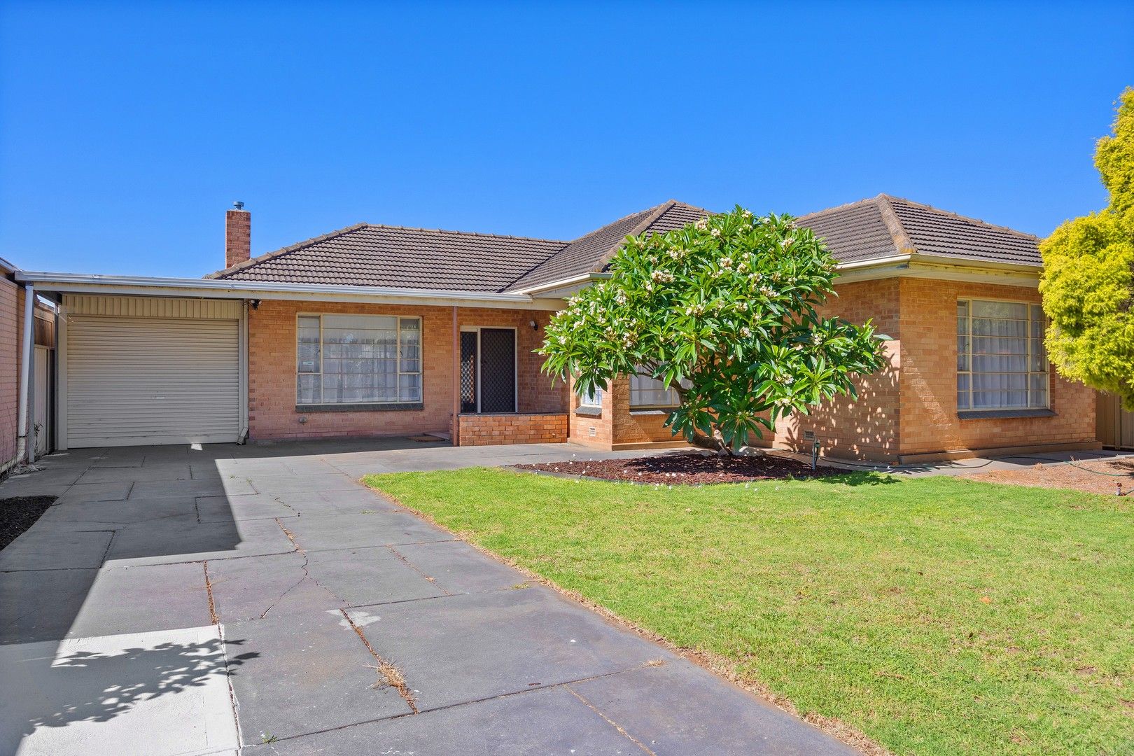 13 Matheson Avenue, Findon SA 5023 House For Rent 650 Domain