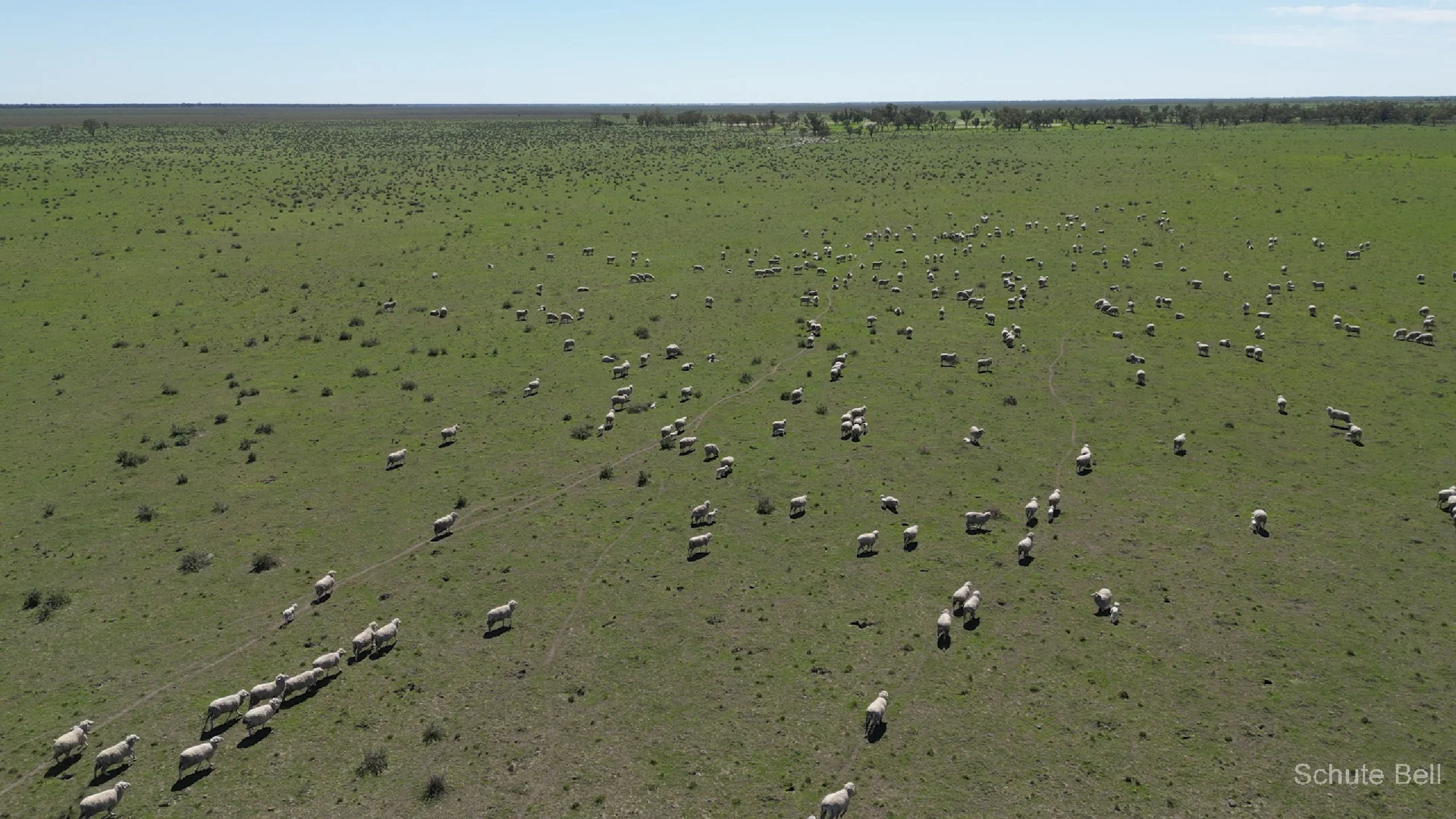 Additional image 25 of Narran Lake Road, Brewarrina NSW 2839