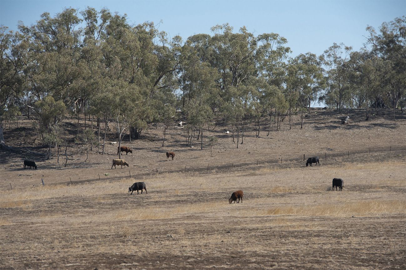 7567 KIRRAWA NEWELL HIGHWAY, Coonabarabran NSW 2357, Image 2