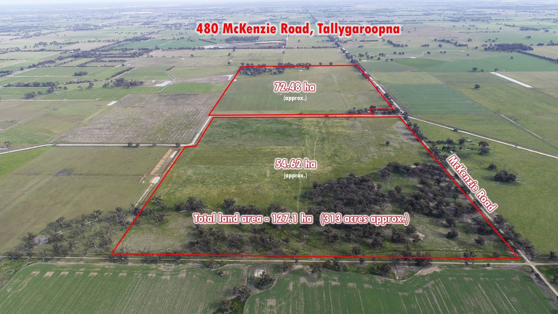 480 Mckenzie Road, Tallygaroopna VIC 3634, Image 0