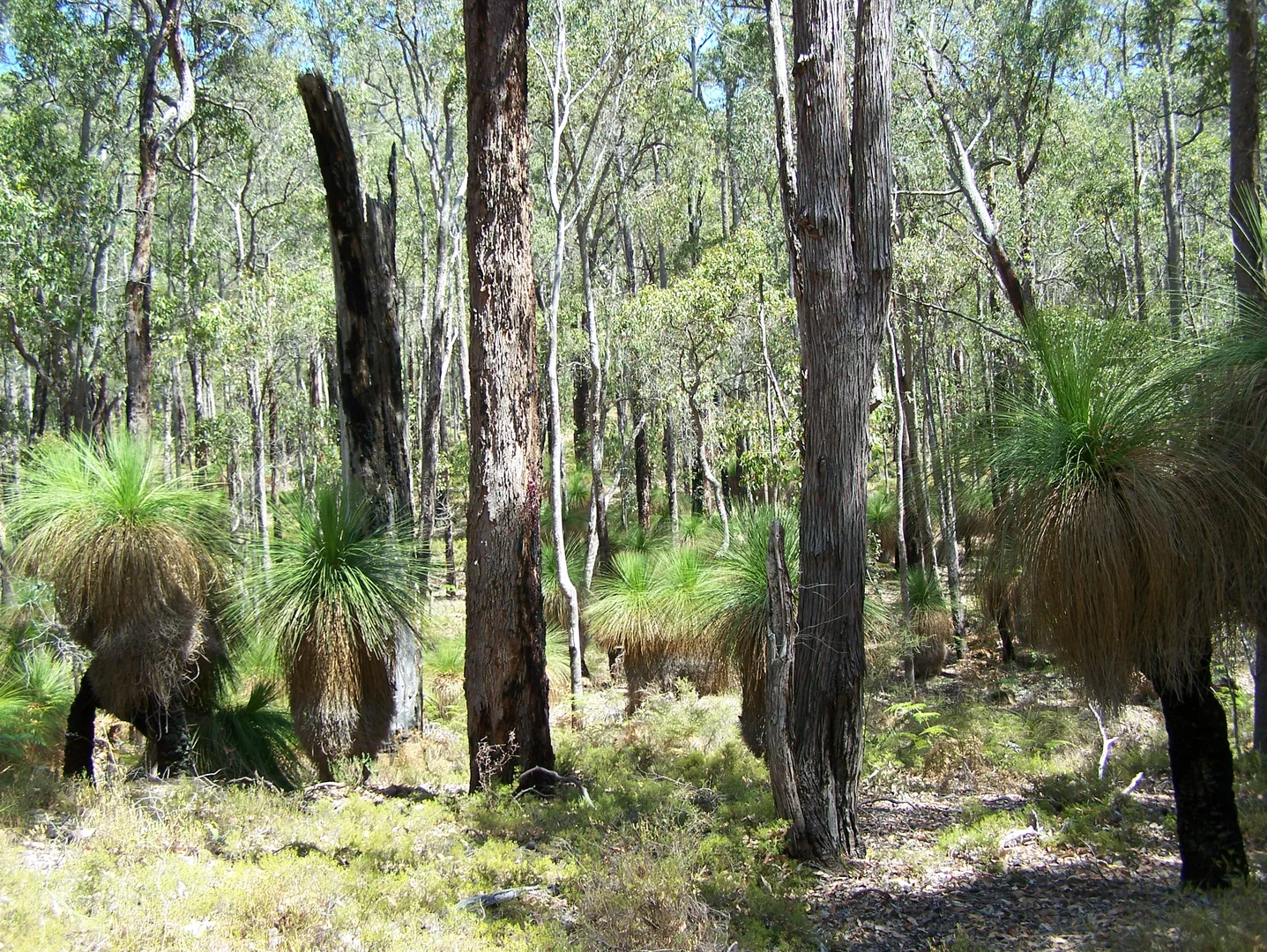 Image 12