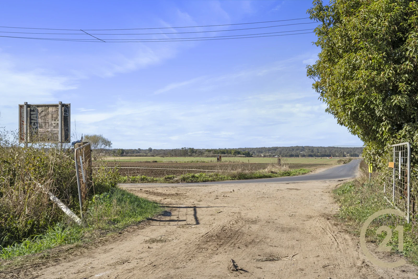Image 14