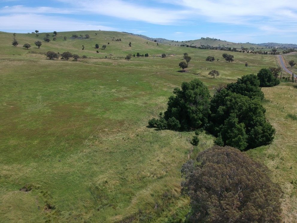 1884 Burra Road, Gundagai NSW 2722, Image 0