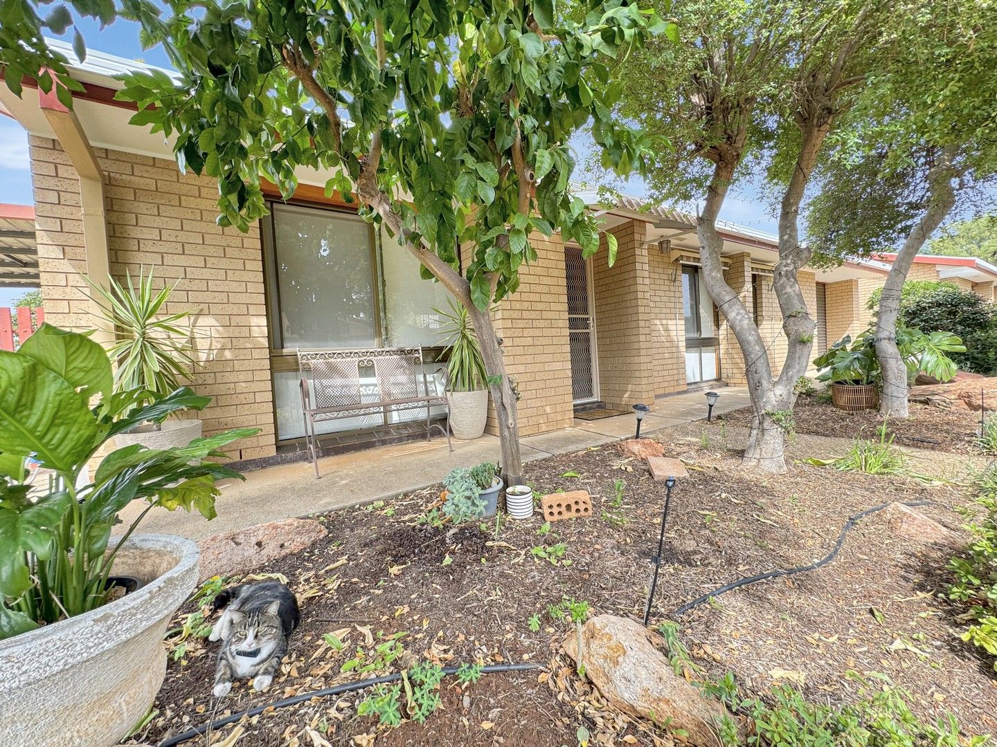 Unit 1/2-4 Hoad Street, Griffith NSW 2680, Image 0