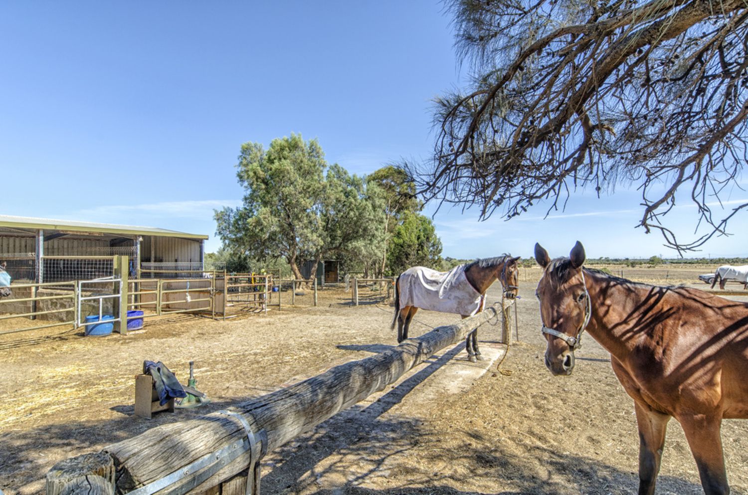 14 Norman Road, Aldinga Beach SA 5173, Image 2