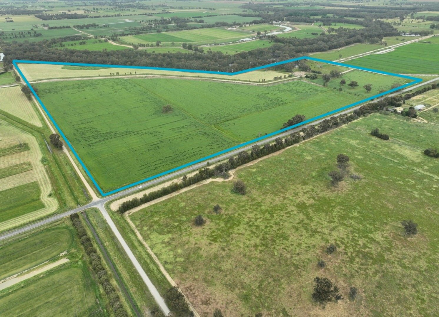 Rural in 1006 Katamatite Nathalia Road, WAAIA VIC, 3637