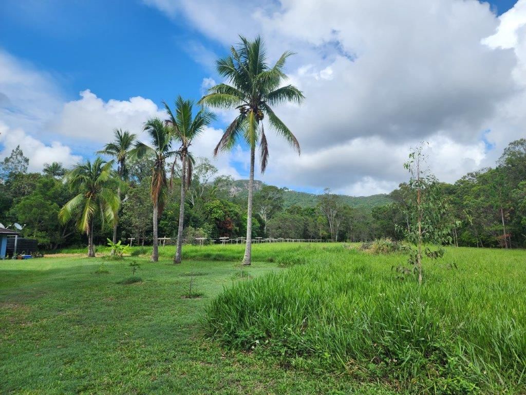 2433 Byfield Road, Byfield QLD 4703 House for Sale Domain