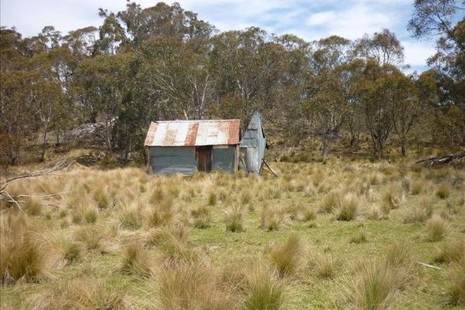 Picture of Harry's Greenhills Road, JERANGLE NSW 2630