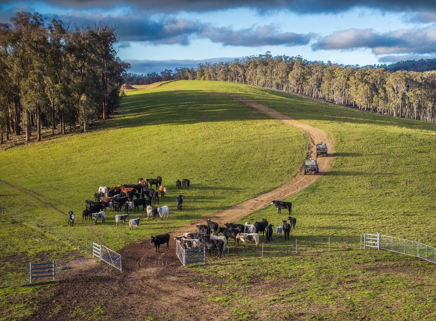 'Rosewood', Geraldine Road, Walcha NSW 2354, Image 0