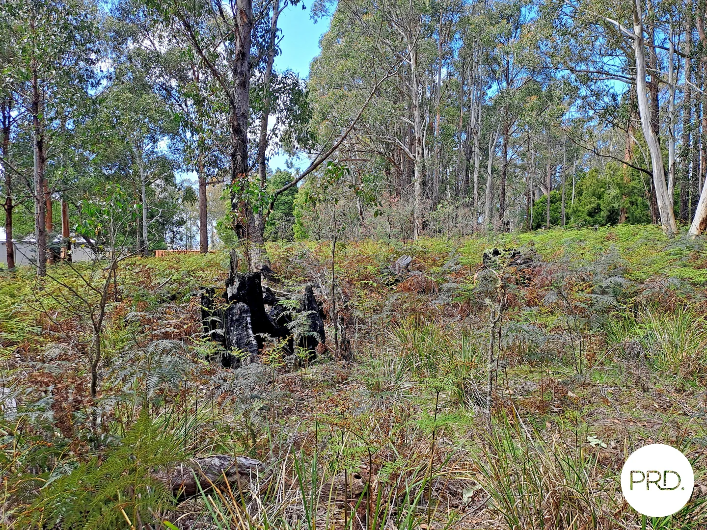 Image 11