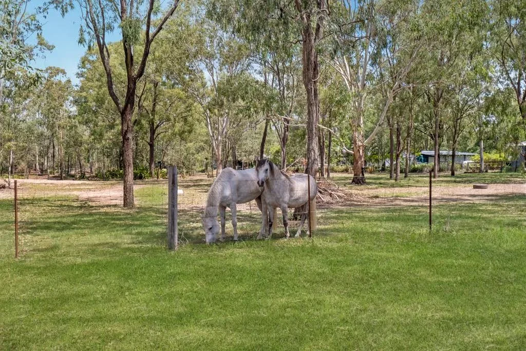 Additional image 16 of 20 Cottage Street, Coominya QLD 4311