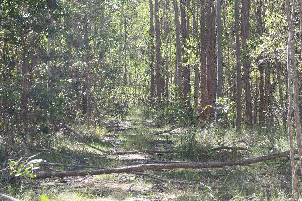 Rural in Lot 213 Bruxner Road, DRAKE NSW, 2469