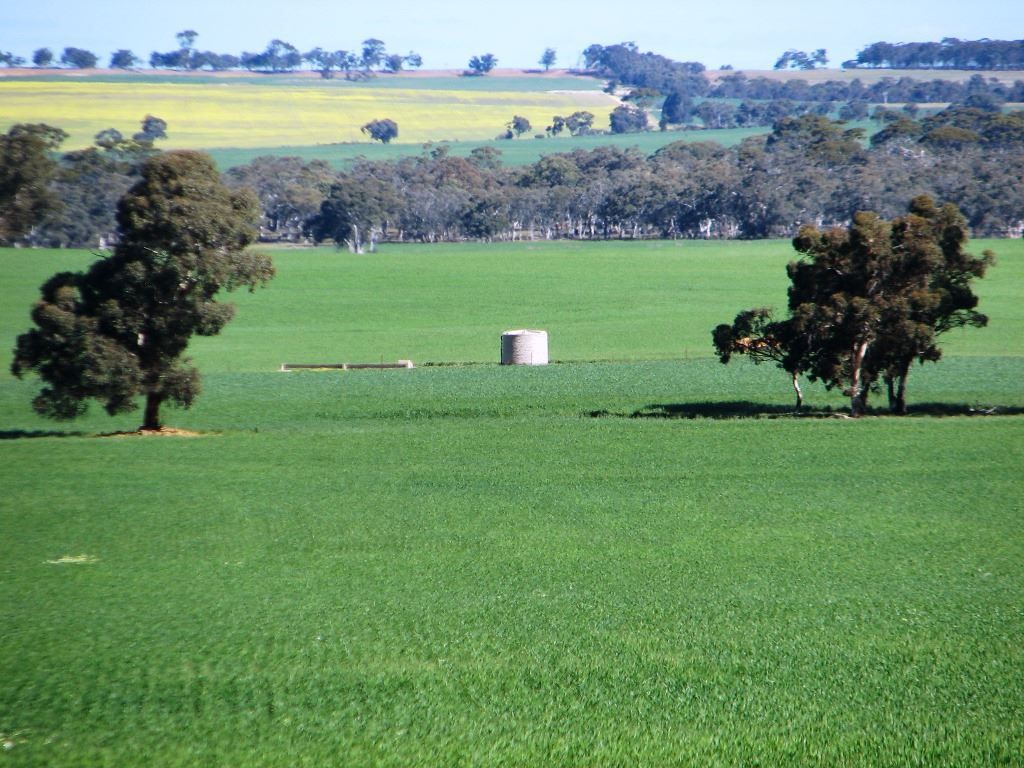 Yealering WA 6372, Image 0