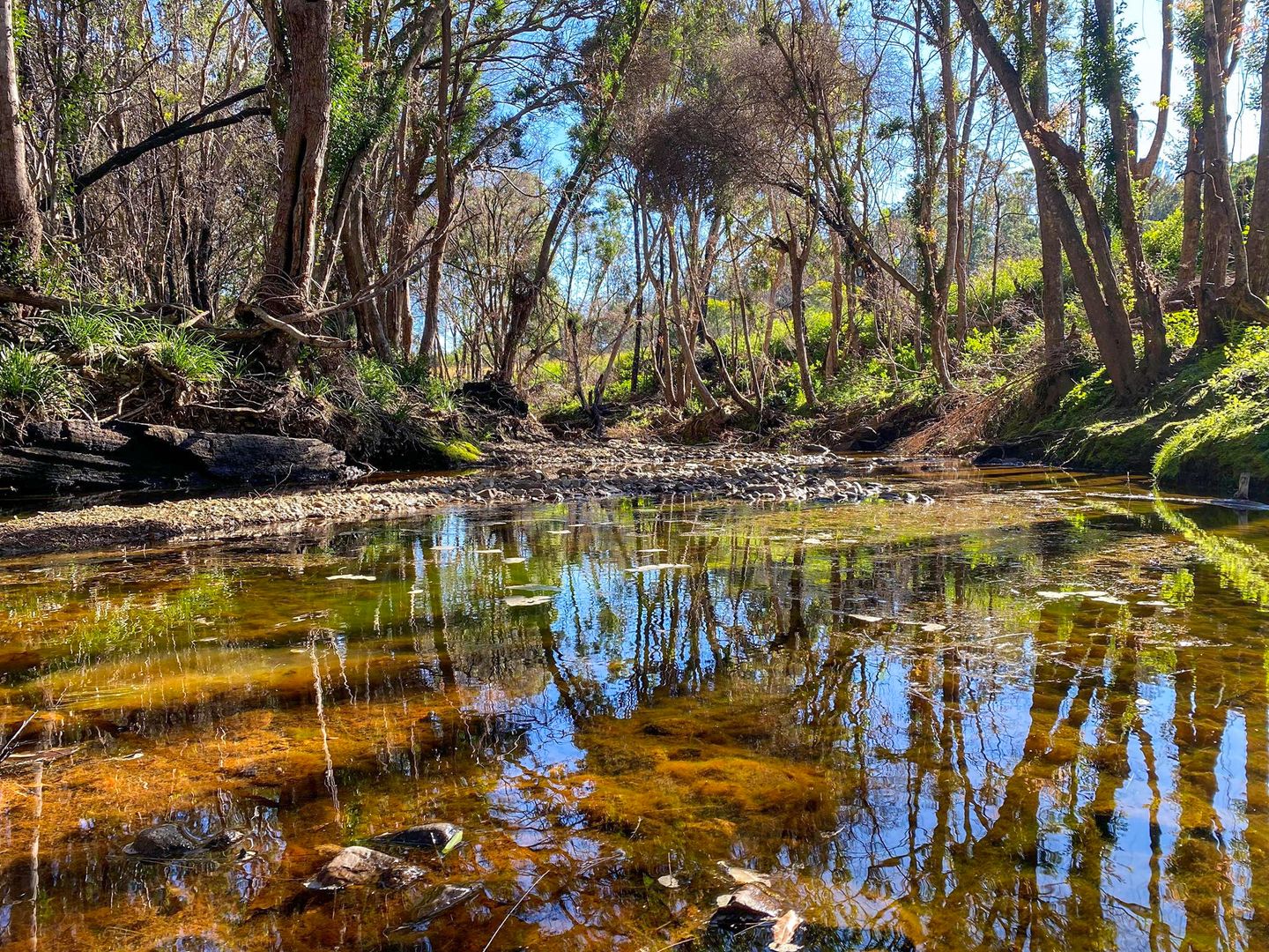 1 Waverley Road, Hillville NSW 2430, Image 1