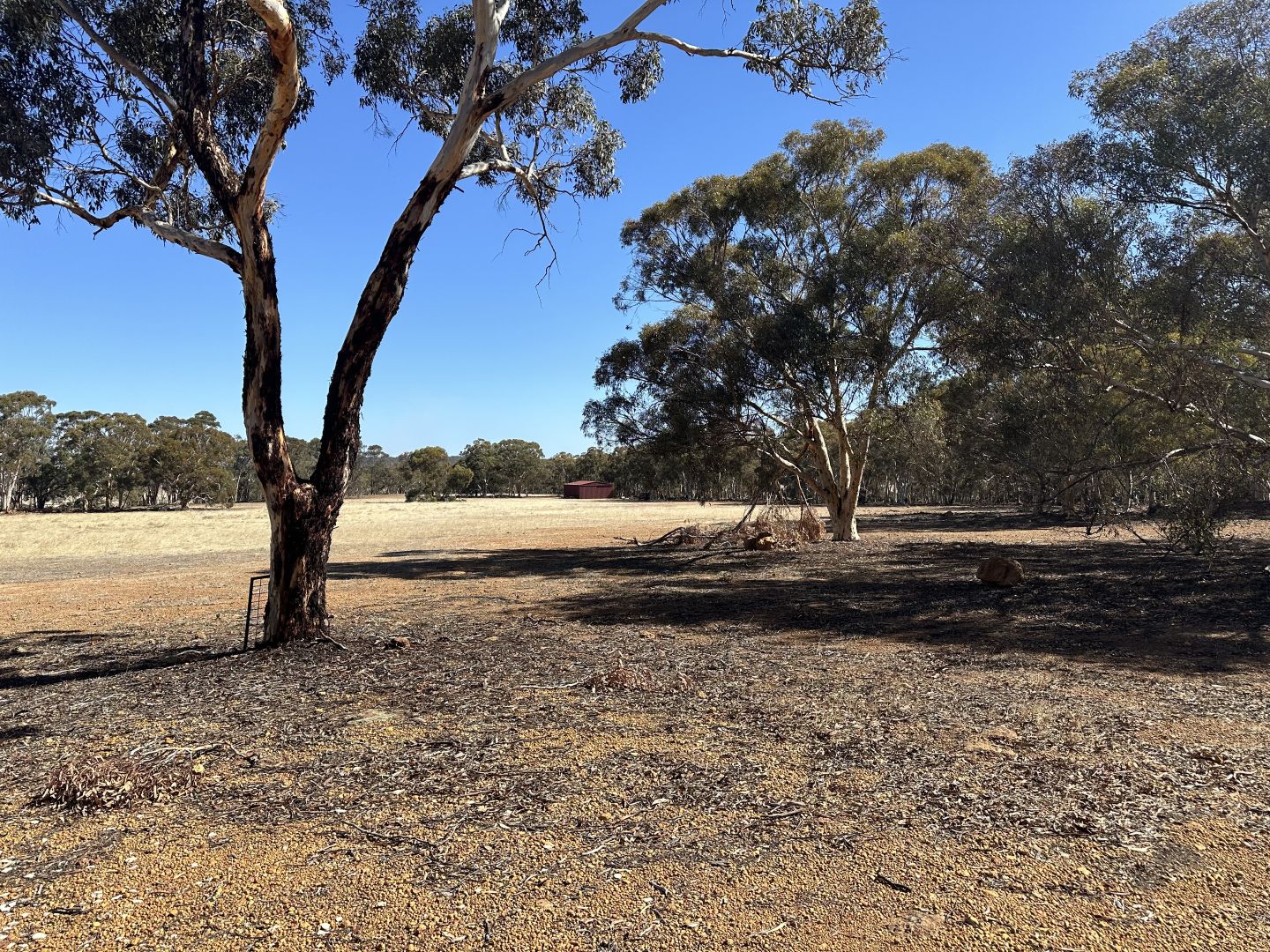 590a Hillcroft Road, Brookton WA 6306, Image 2