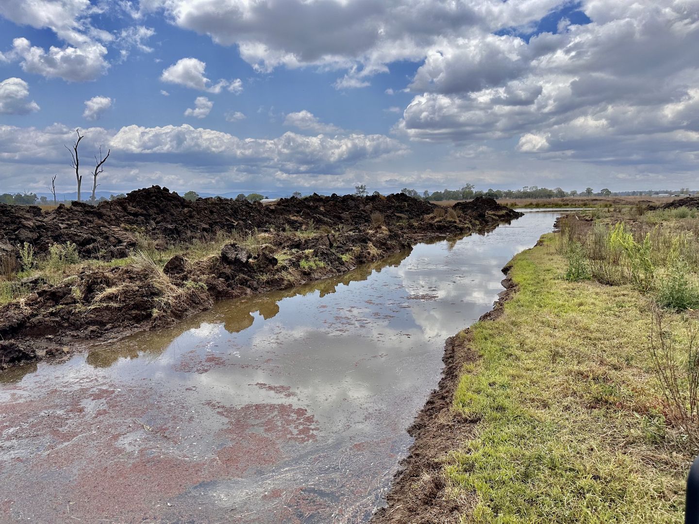 Clarendon QLD 4311 House for Sale 1,320,000 Domain