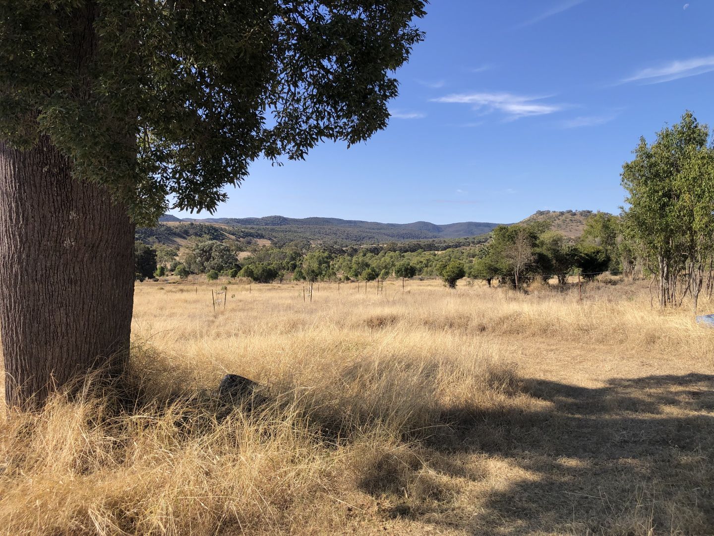 Bunya Mountains QLD 4405, Image 1