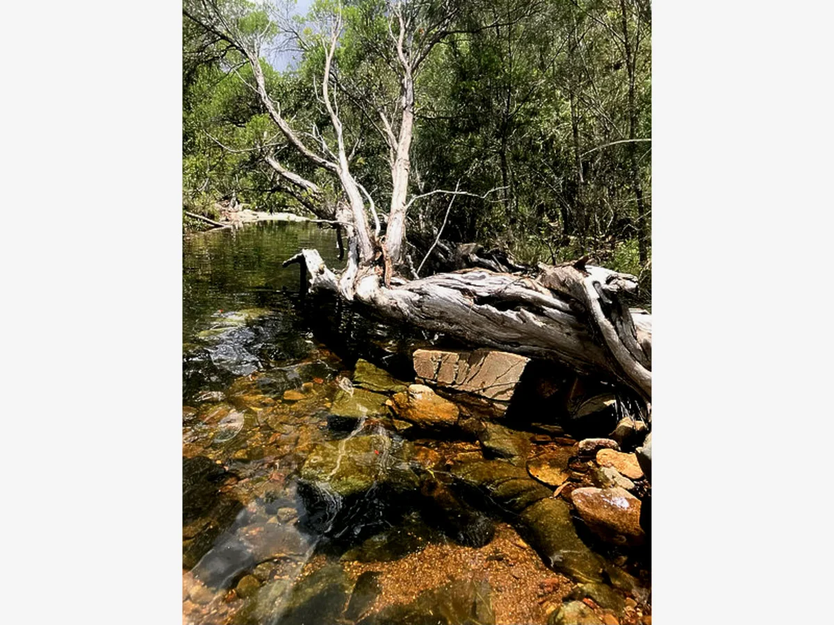 Additional image 6 of 1290 Nine Mile Road, Nine Mile Creek QLD 4714
