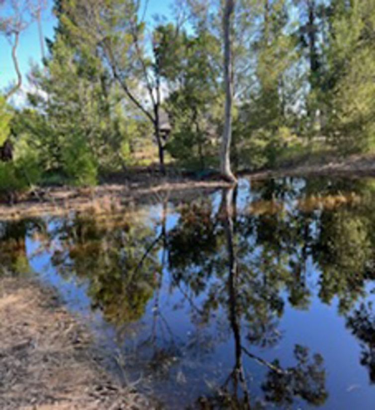 Vacant land in 3029 Sturt Highway, NURIOOTPA SA, 5355