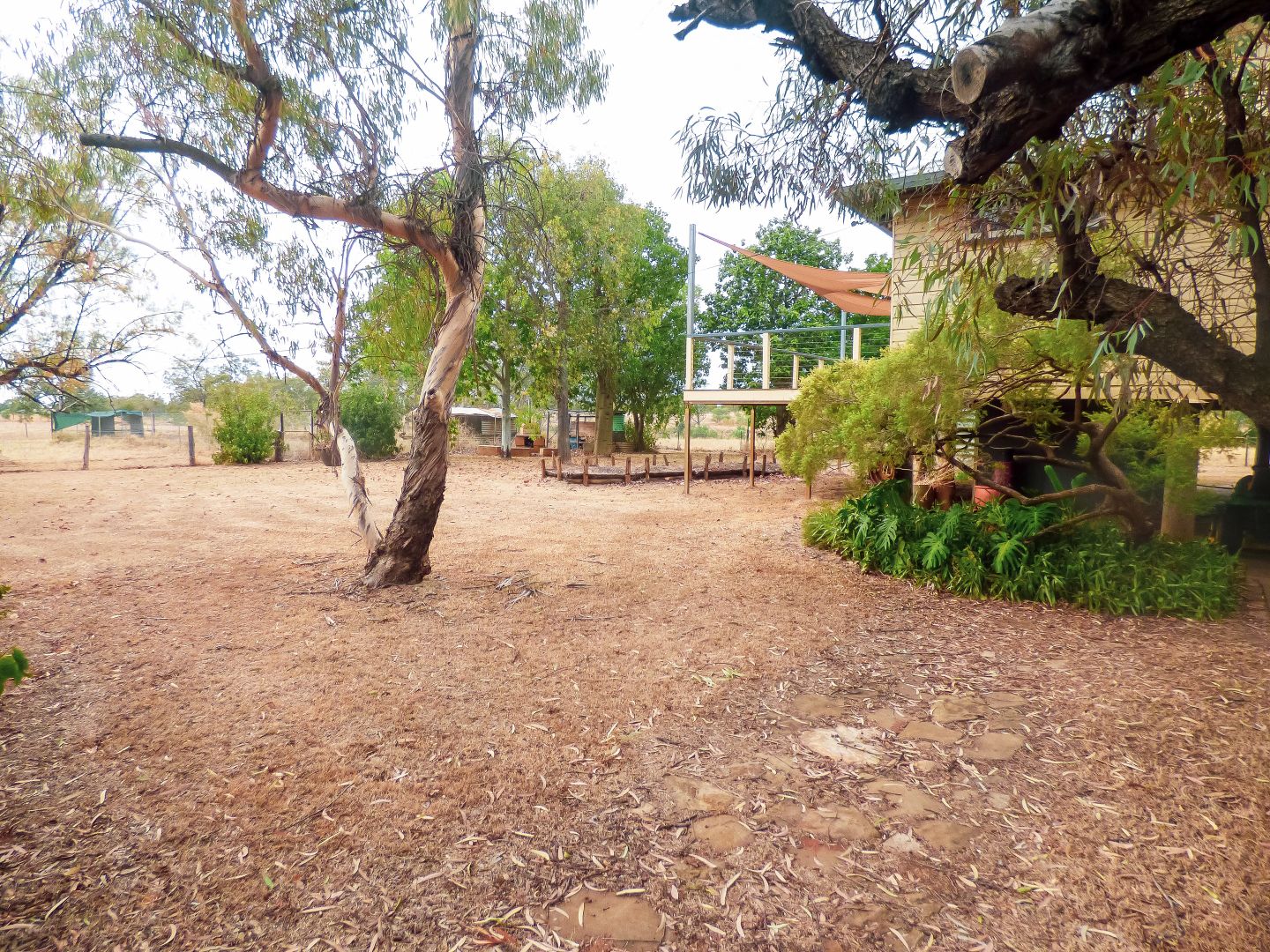 390 Charlton Bank Road, Roma QLD 4455 House For Rent 550 Domain