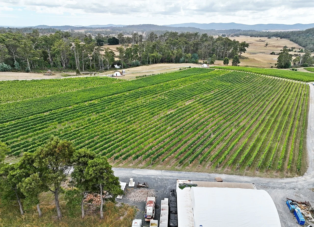 Image 13