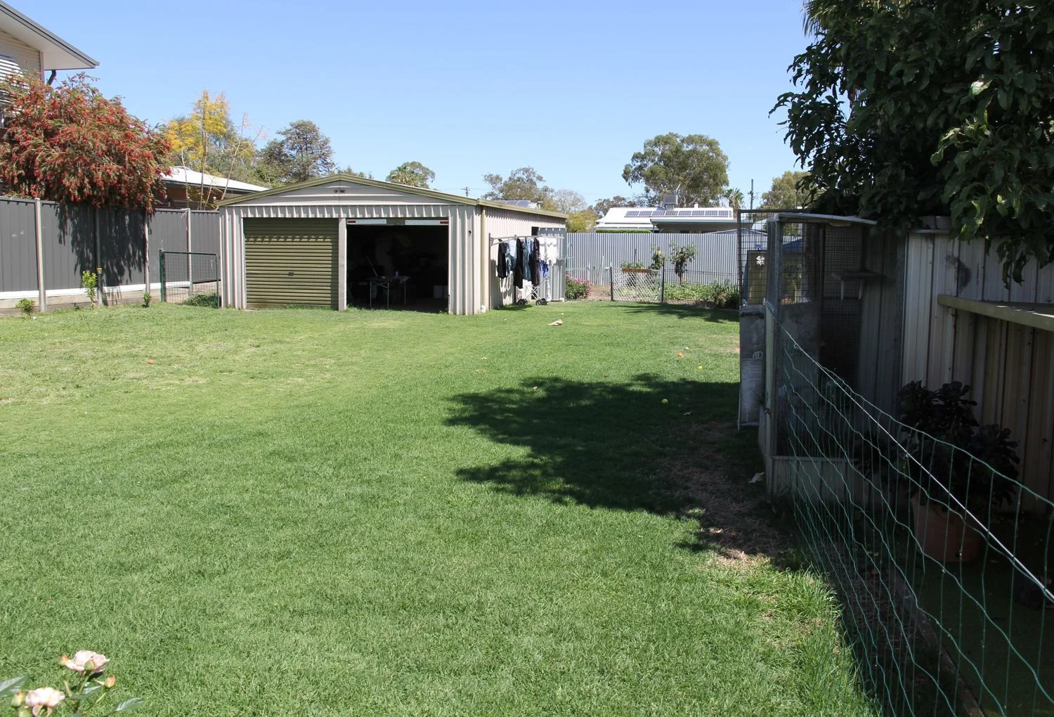 Image 22
