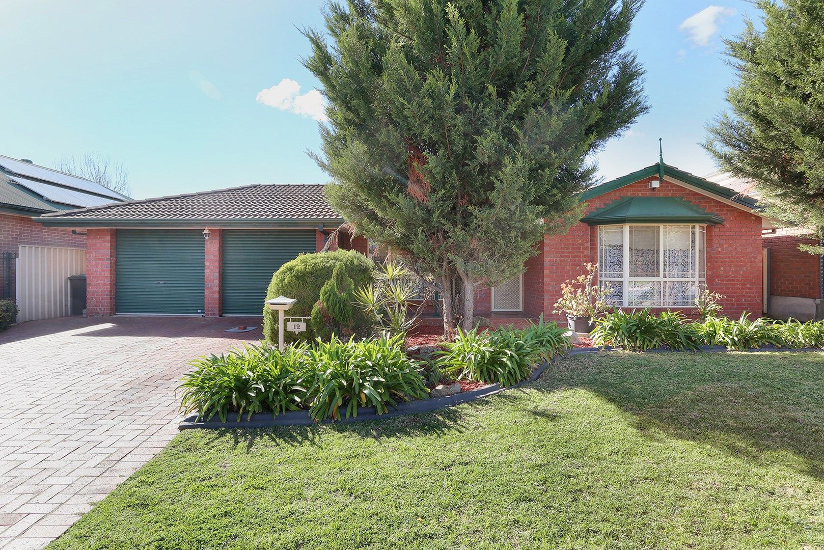 12 Conifer Court, Newton SA 5074, Image 0