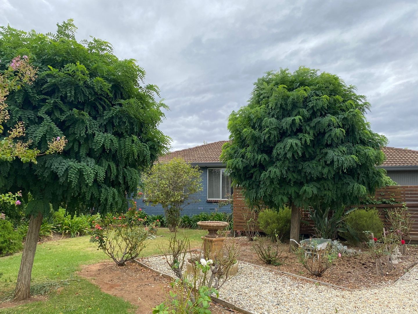 54 Birdwood Street, Corowa NSW 2646 House For Rent Domain