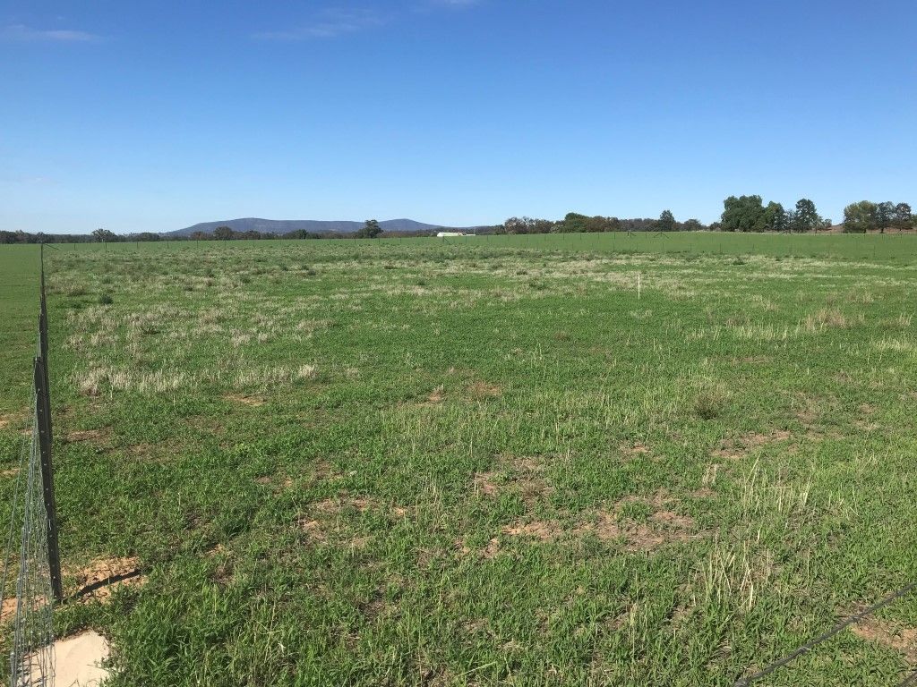 Lot 846 Manganese Road, Grenfell NSW 2810, Image 2