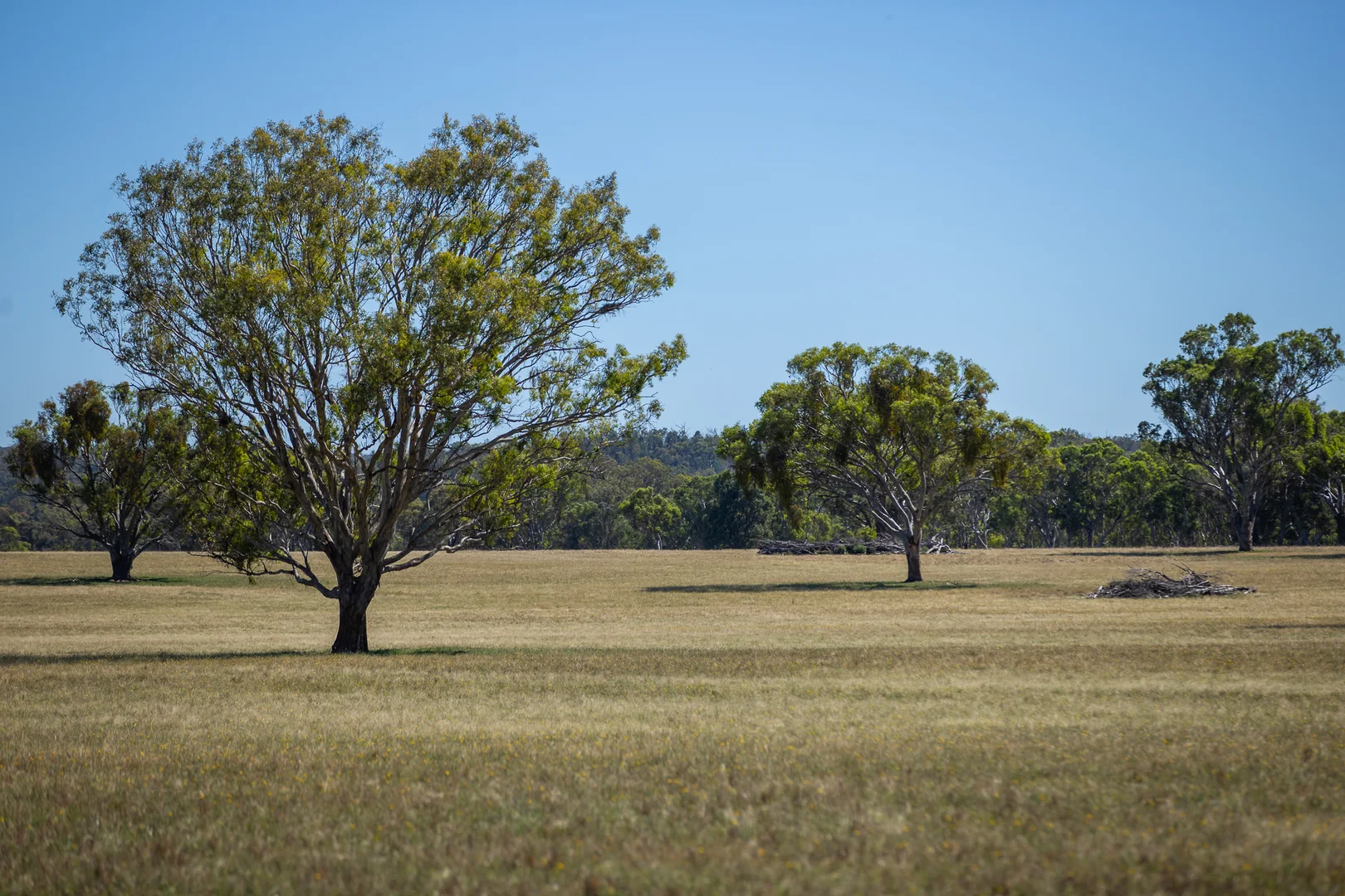 Additional image 23 of Inverell NSW 2360