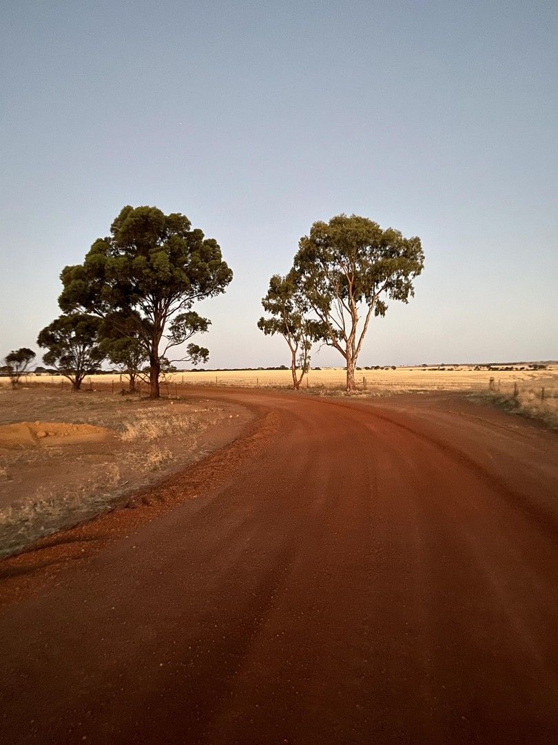 "Amaroo" East Kulin, Kulin WA 6365, Image 1