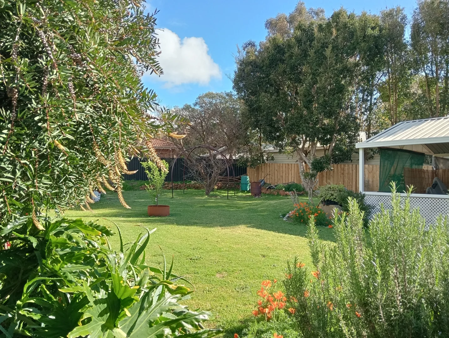 Image 25