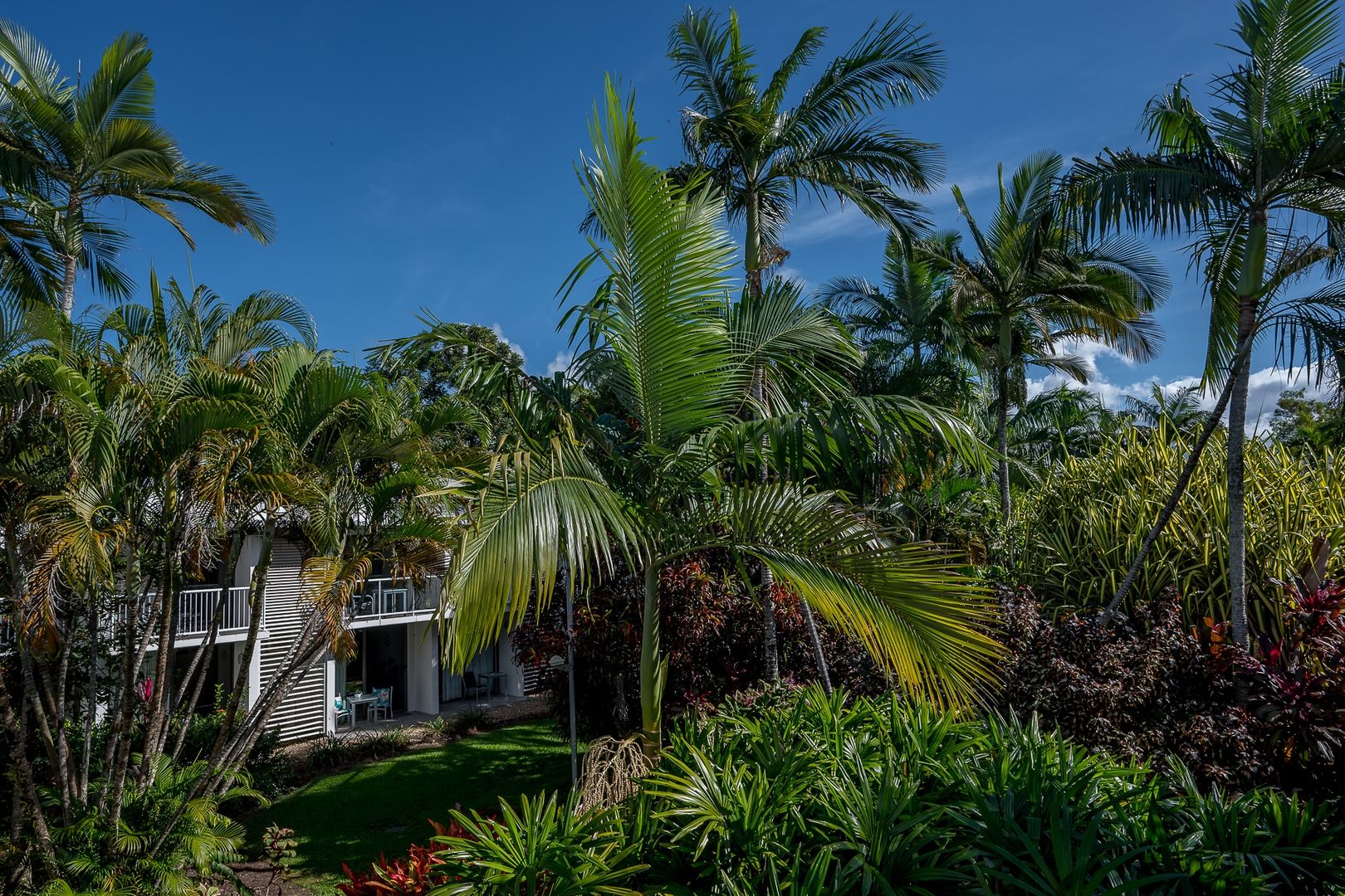 1106/87-109 Port Douglas Road, Port Douglas QLD 4877, Image 2